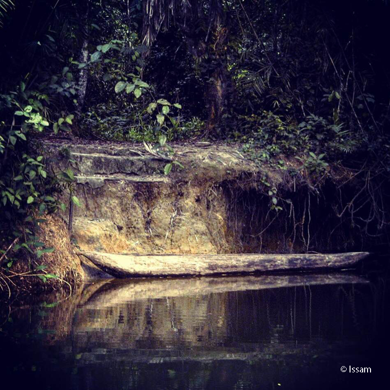 A dugout canoe sits on the Bank of Tiwai Island